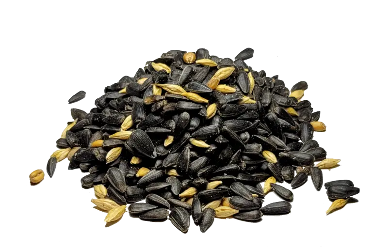 Vogelglück lose_800x800.webp