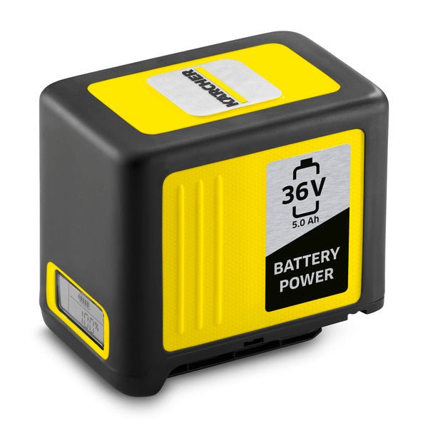 [2.445-031.0] Battery Power 36/50