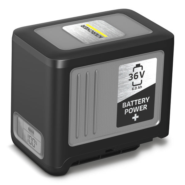 [2.042-022.0] Battery Power+ 36/60