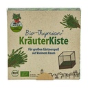 KräuterKiste Bio-Thymian kbA