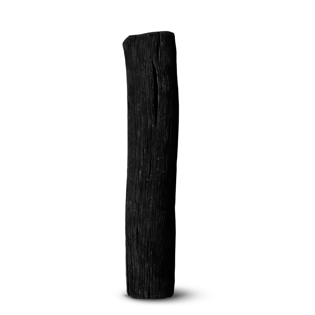 Aktivkohlefilter