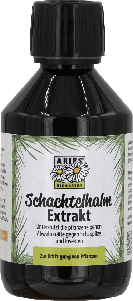Schachtelhalm Extrakt