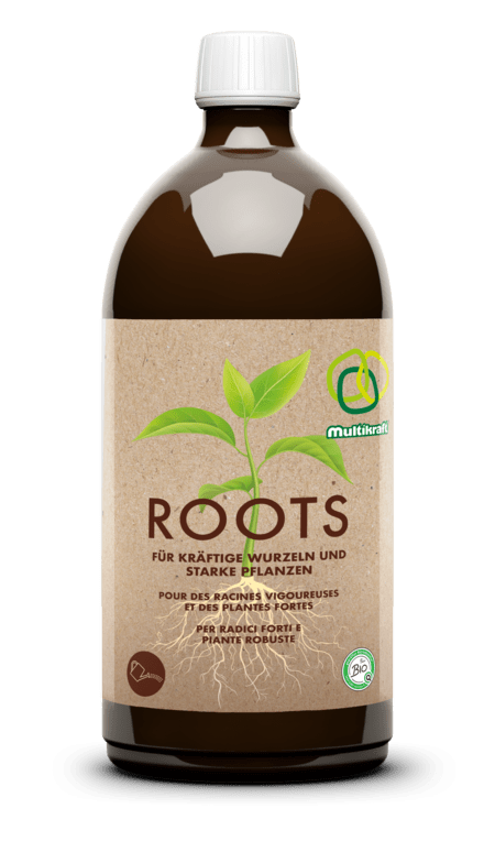 [100406.1] Roots
