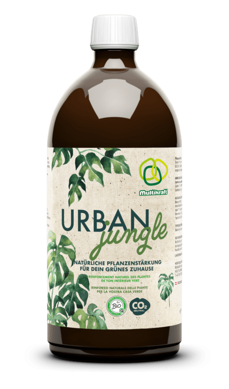 [100460.1] Urban Jungle