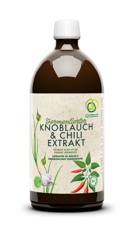 [100240.1] Fermentierter Knoblauch- und Chiliextrakt